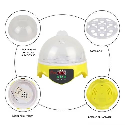 Mini Incubateur Automatique