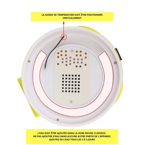 Mini Incubateur Automatique