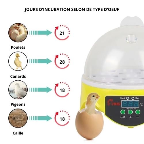 Mini Incubateur Automatique